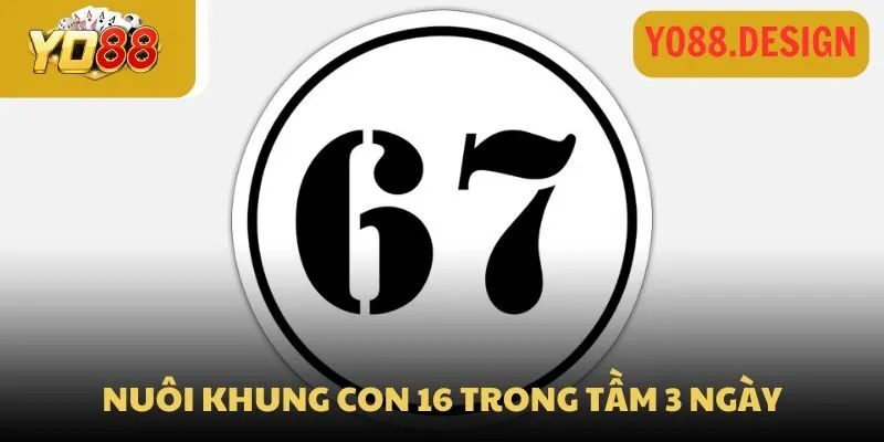 Nuôi khung con 16 trong tầm 3 ngày
